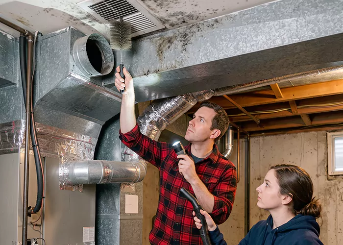 Premier HVAC Mold Remediation Company in Union